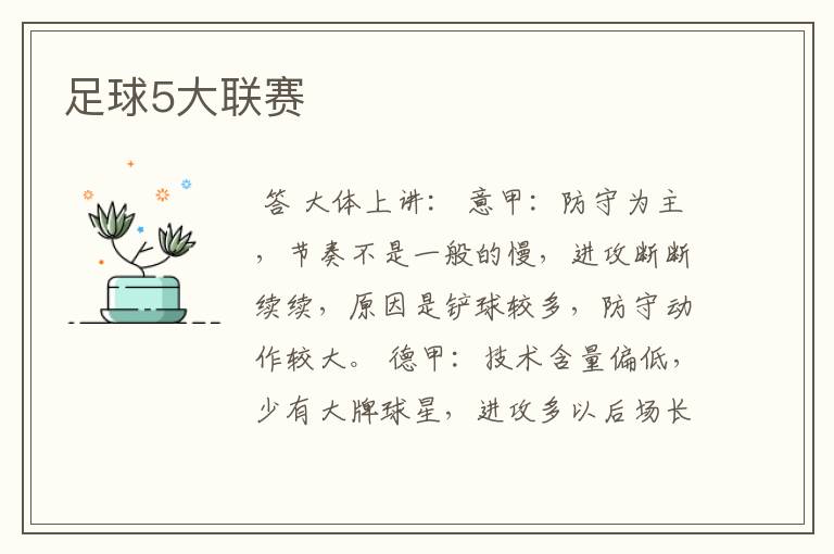 足球5大联赛