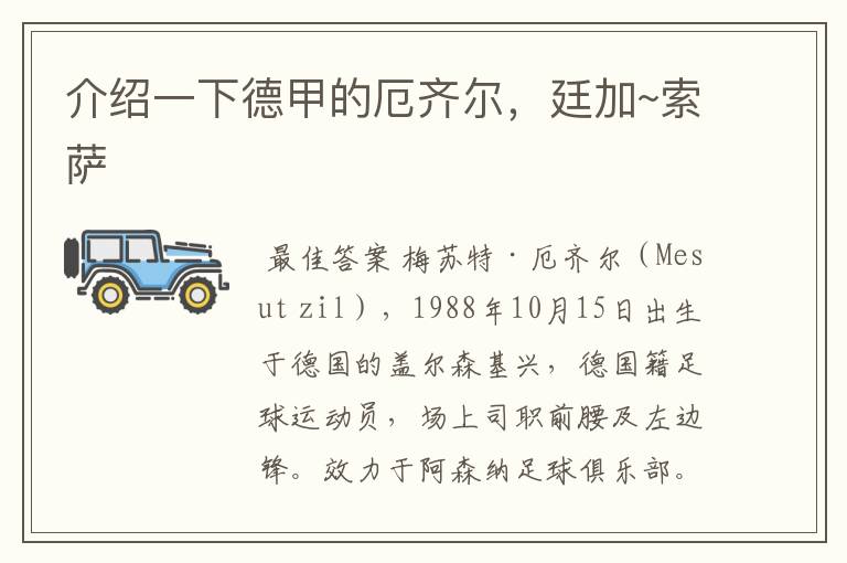 介绍一下德甲的厄齐尔,廷加~索萨