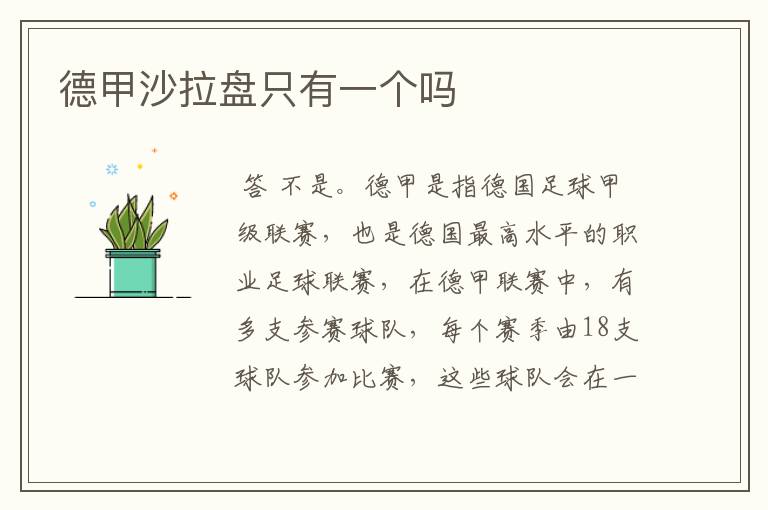 德甲沙拉盘只有一个吗