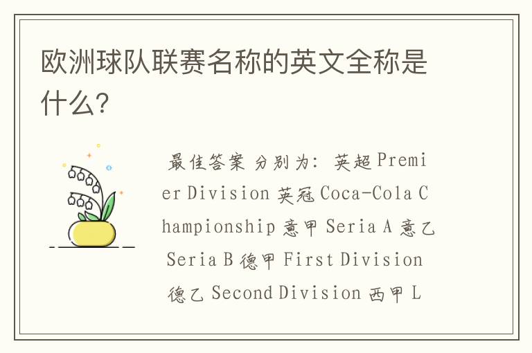 欧洲球队联赛名称的英文全称是什么?