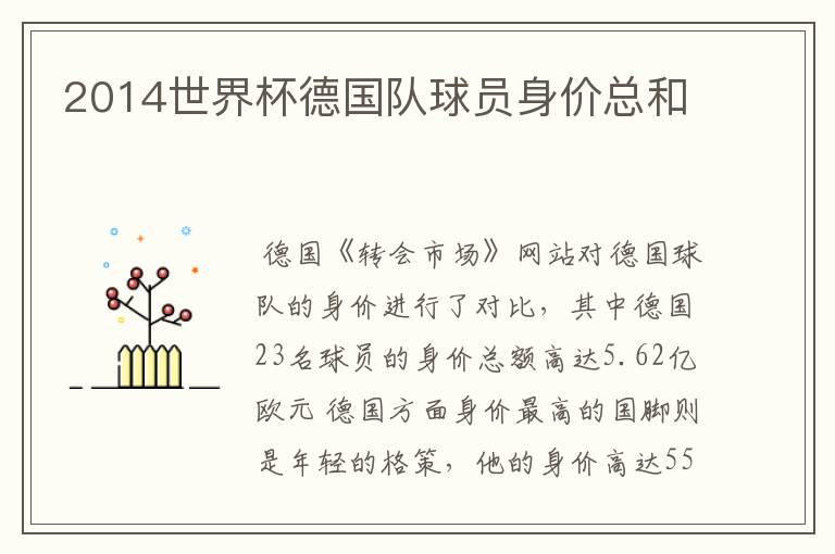 2014世界杯德国队球员身价总和