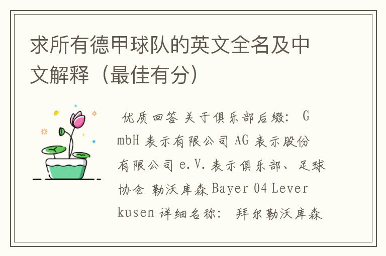 求所有德甲球队的英文全名及中文解释(最佳有分)