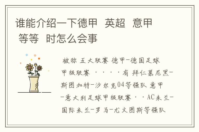 谁能介绍一下德甲 英超 意甲 等等 时怎么会事