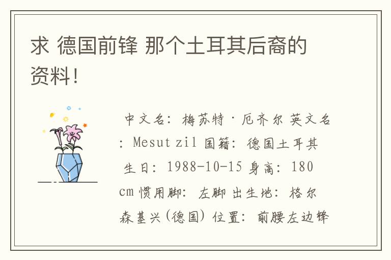 求 德国前锋 那个土耳其后裔的资料!