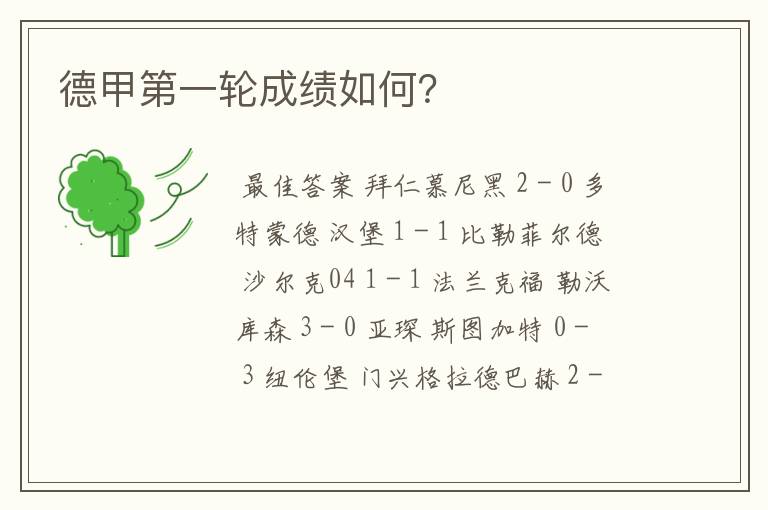 德甲第一轮成绩如何?
