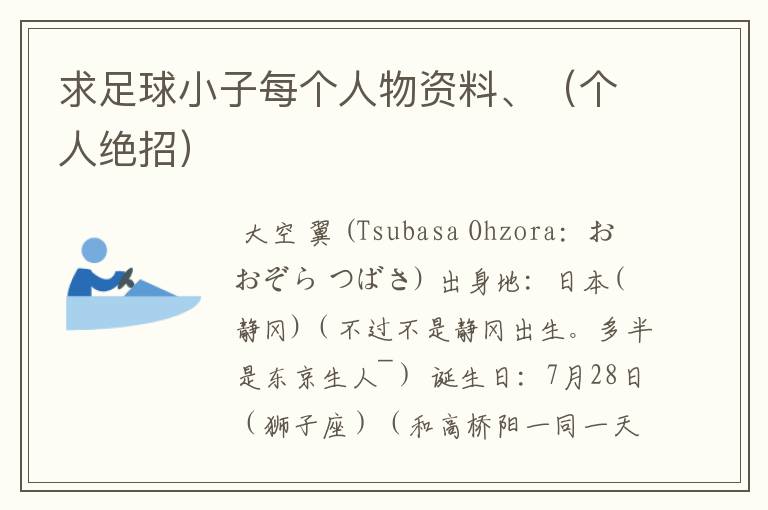 求足球小子每个人物资料、(个人绝招)