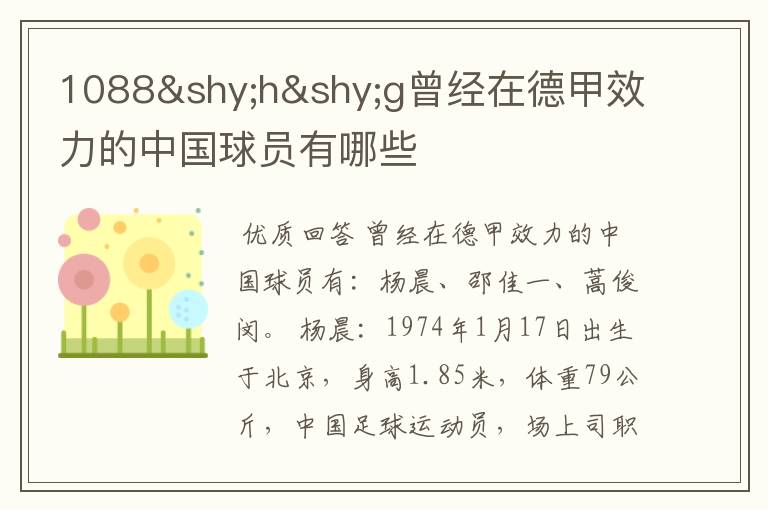 1088hg曾经在德甲效力的中国球员有哪些