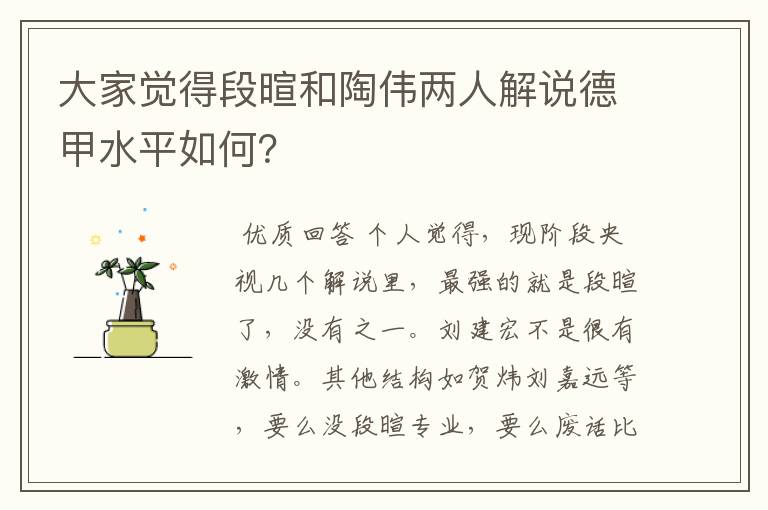 大家觉得段暄和陶伟两人解说德甲水平如何?