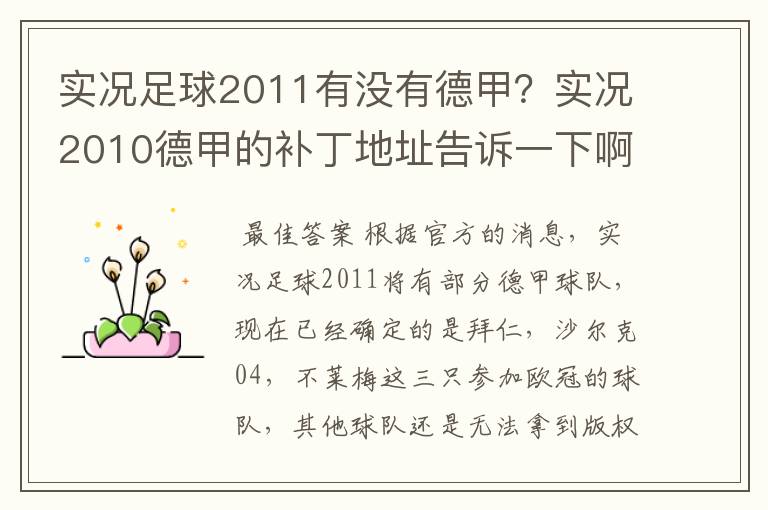 实况足球2011有没有德甲?实况2010德甲的补丁地址告诉一下啊