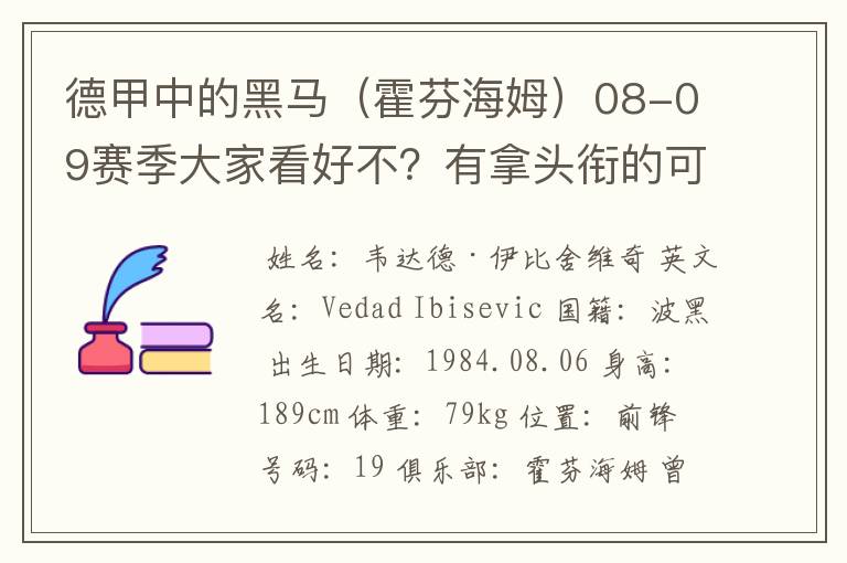 德甲中的黑马(霍芬海姆)08-09赛季大家看好不?有拿头衔的可能吗?
