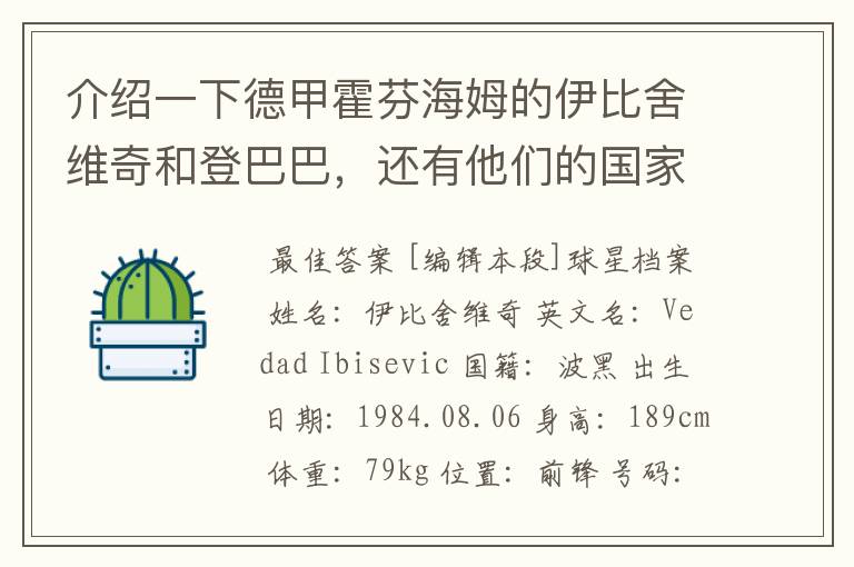 介绍一下德甲霍芬海姆的伊比舍维奇和登巴巴,还有他们的国家队履历