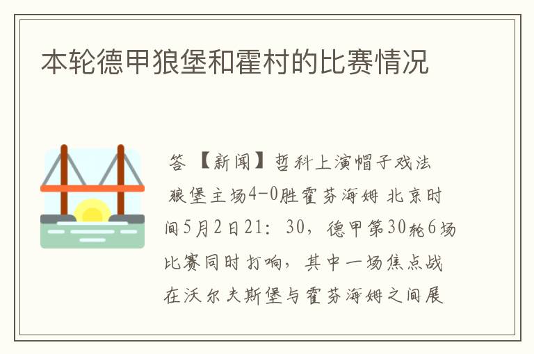 本轮德甲狼堡和霍村的比赛情况
