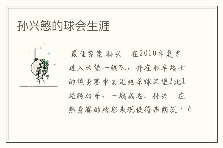 孙兴慜的球会生涯