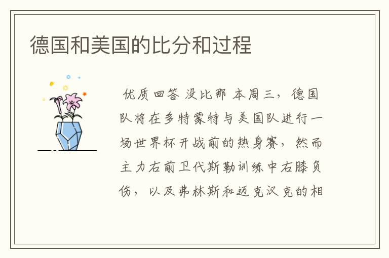 德国和美国的比分和过程
