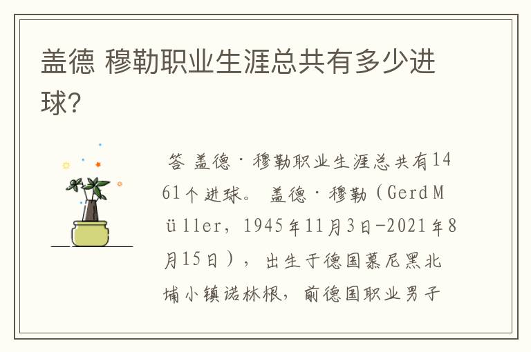 盖德 穆勒职业生涯总共有多少进球?