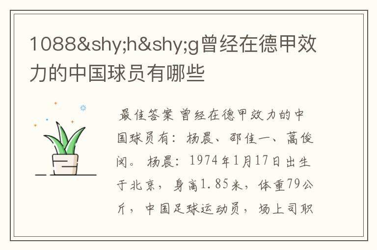 1088hg曾经在德甲效力的中国球员有哪些