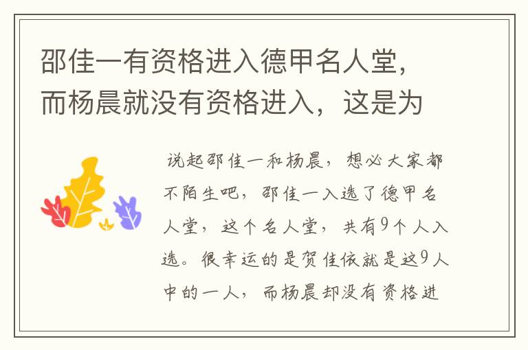 邵佳一有资格进入德甲名人堂,而杨晨就没有资格进入,这是为何?