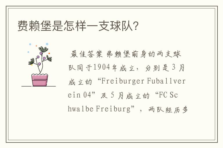 费赖堡是怎样一支球队?