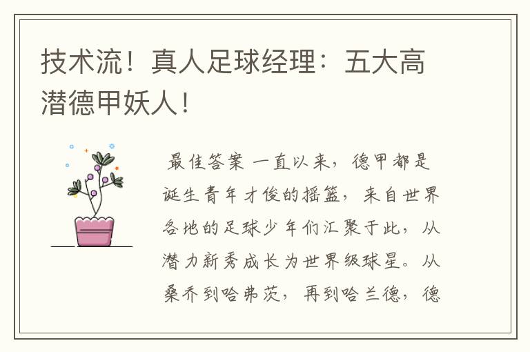 技术流!真人足球经理:五大高潜德甲妖人!