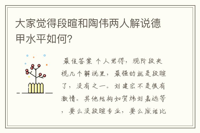 大家觉得段暄和陶伟两人解说德甲水平如何?