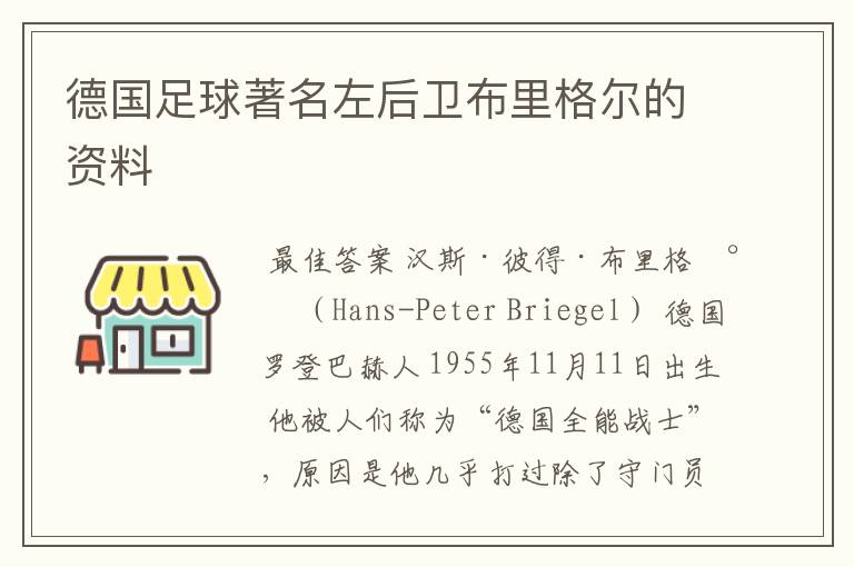 德国足球著名左后卫布里格尔的资料