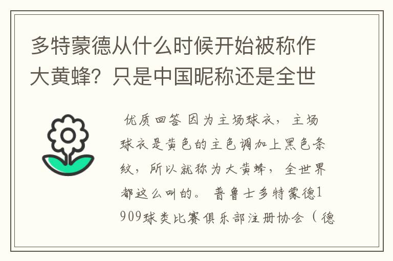 多特蒙德从什么时候开始被称作大黄蜂？只是中国昵称还是全世界范围都这么称呼