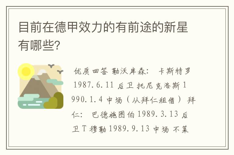 目前在德甲效力的有前途的新星有哪些?