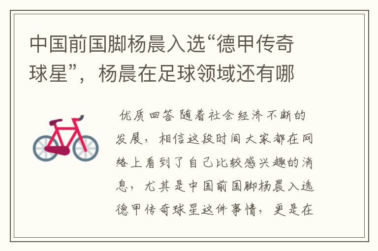 中国前国脚杨晨入选“德甲传奇球星”,杨晨在足球领域还有哪些成就?