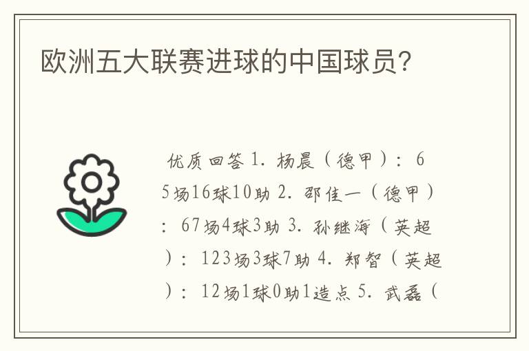 欧洲五大联赛进球的中国球员?