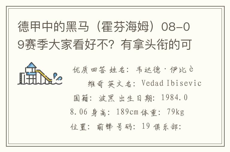 德甲中的黑马(霍芬海姆)08-09赛季大家看好不?有拿头衔的可能吗?