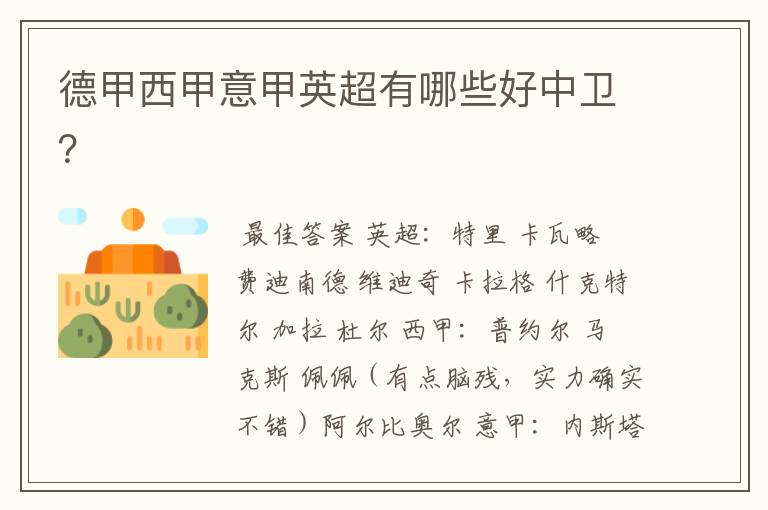 德甲西甲意甲英超有哪些好中卫?