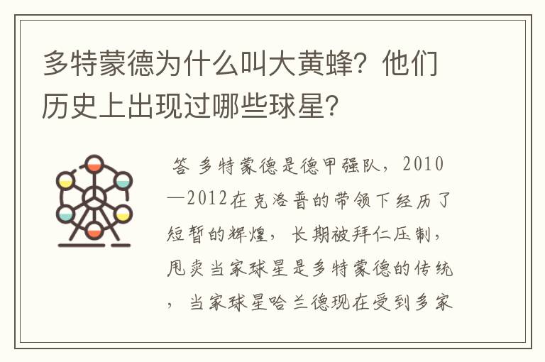 多特蒙德为什么叫大黄蜂?他们历史上出现过哪些球星?
