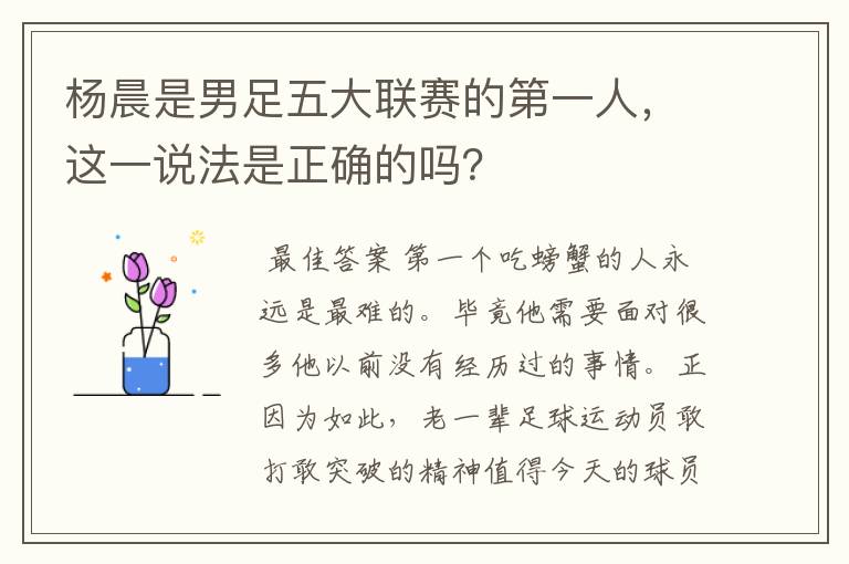杨晨是男足五大联赛的第一人,这一说法是正确的吗?