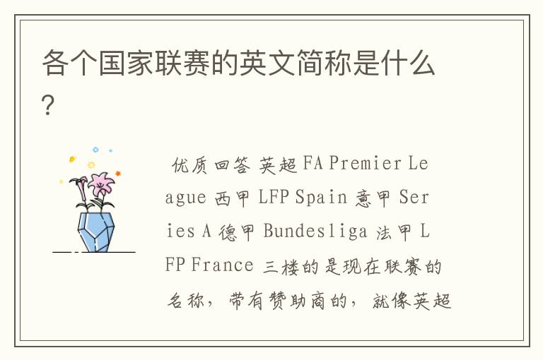 各个国家联赛的英文简称是什么?