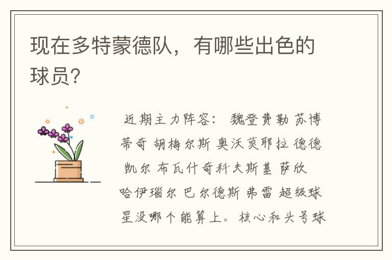 现在多特蒙德队,有哪些出色的球员?