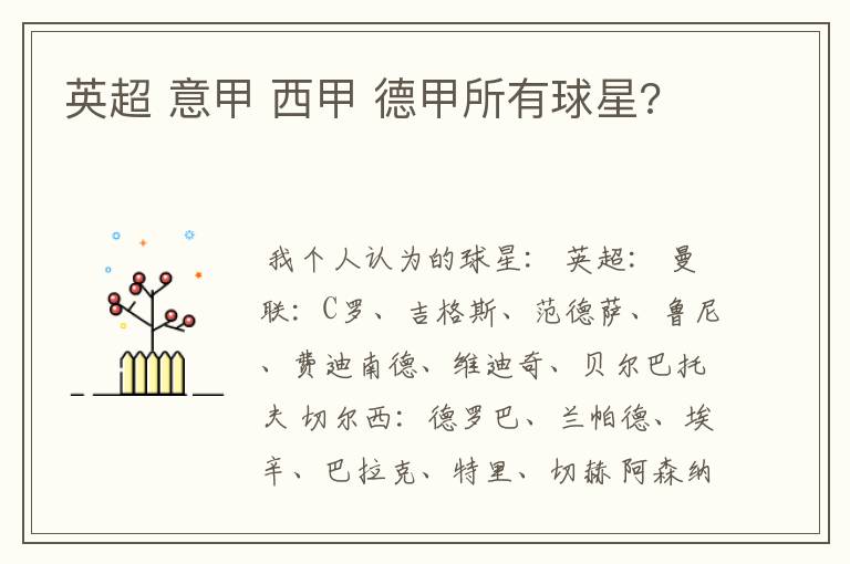 英超 意甲 西甲 德甲所有球星?