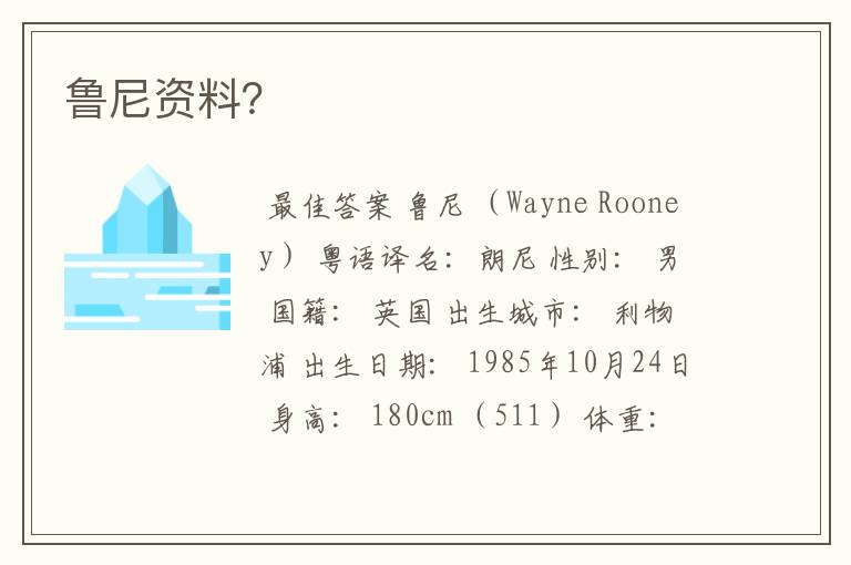 鲁尼资料？