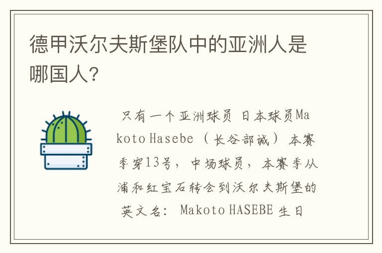 德甲沃尔夫斯堡队中的亚洲人是哪国人?