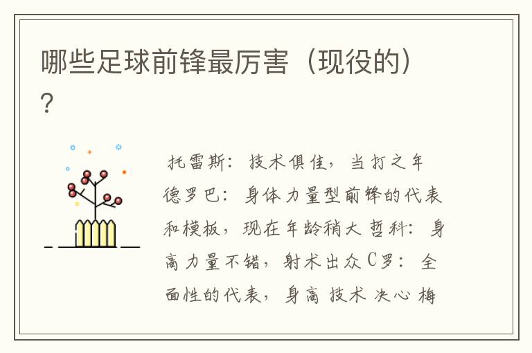 哪些足球前锋最厉害(现役的)?