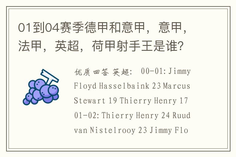 01到04赛季德甲和意甲,意甲,法甲,英超,荷甲射手王是谁?