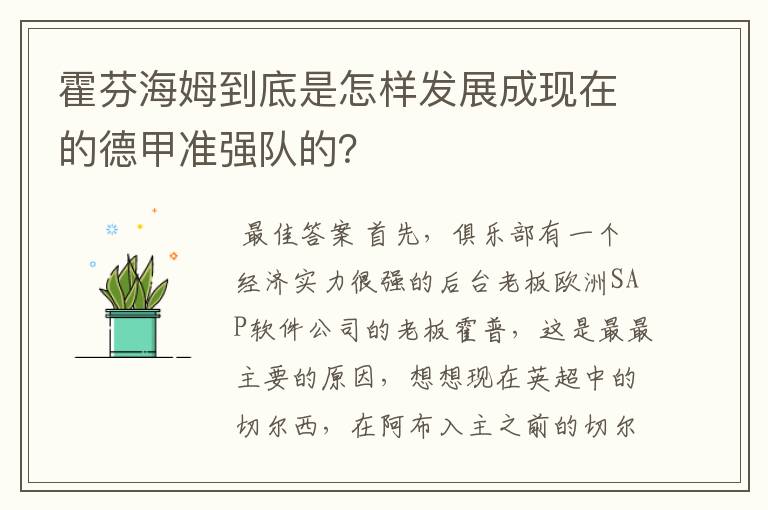 霍芬海姆到底是怎样发展成现在的德甲准强队的?