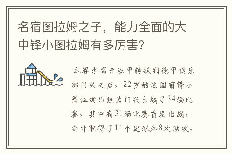 名宿图拉姆之子,能力全面的大中锋小图拉姆有多厉害?