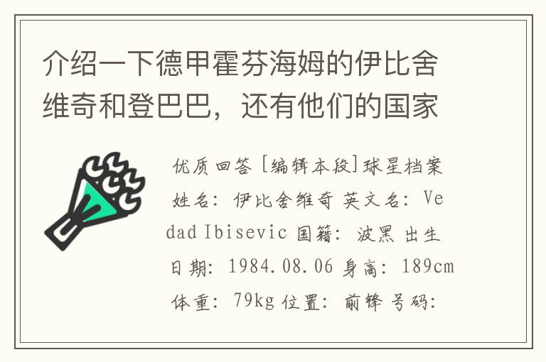 介绍一下德甲霍芬海姆的伊比舍维奇和登巴巴,还有他们的国家队履历