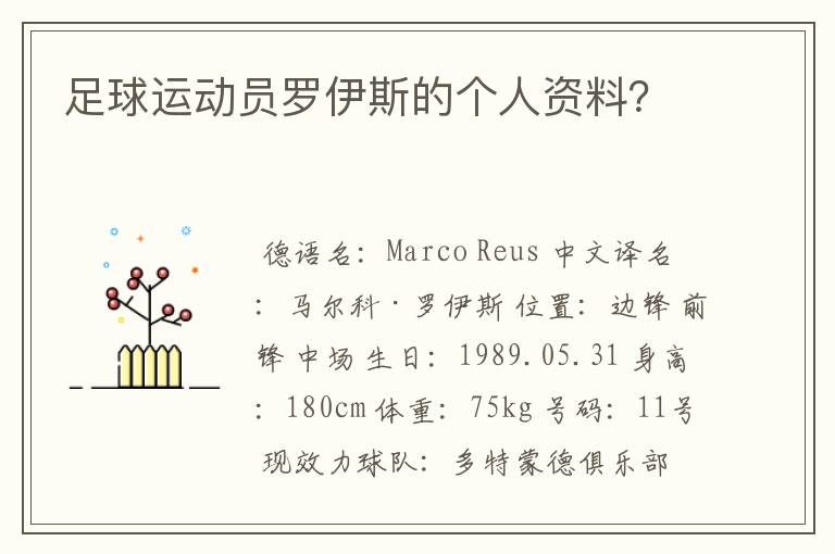足球运动员罗伊斯的个人资料?