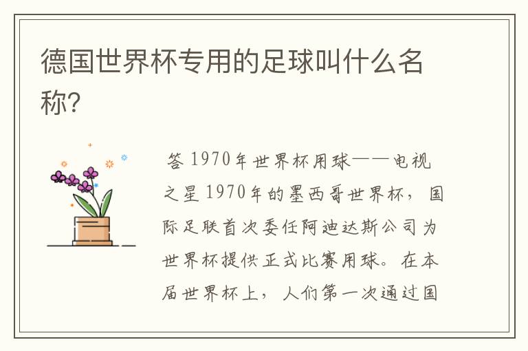 德国世界杯专用的足球叫什么名称?