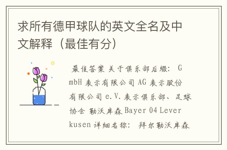 求所有德甲球队的英文全名及中文解释(最佳有分)