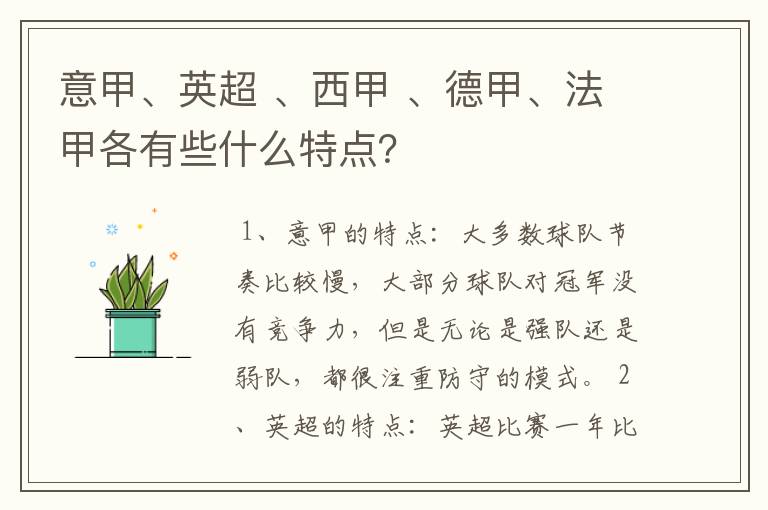 意甲、英超 、西甲 、德甲、法甲各有些什么特点?
