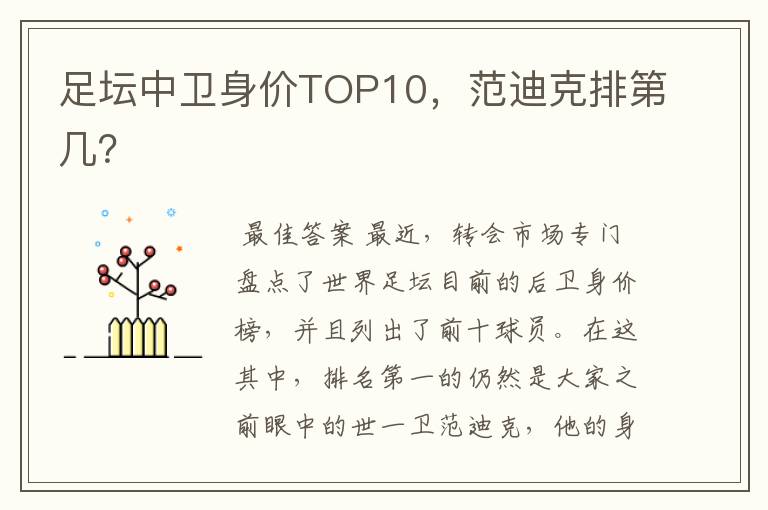 足坛中卫身价TOP10,范迪克排第几?