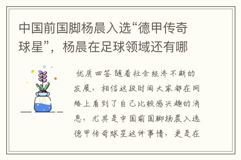 中国前国脚杨晨入选“德甲传奇球星”,杨晨在足球领域还有哪些成就?