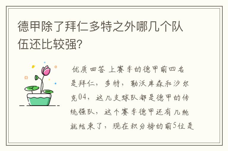 德甲除了拜仁多特之外哪几个队伍还比较强?